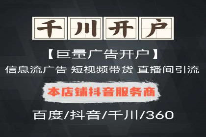 SEM推广案例：揭秘高ROI背后的策略与实践